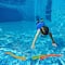 Set of 4 Vibrantly Colored Fun Moray Eel Diving Point Sticks Swimming Pool Toys 10''